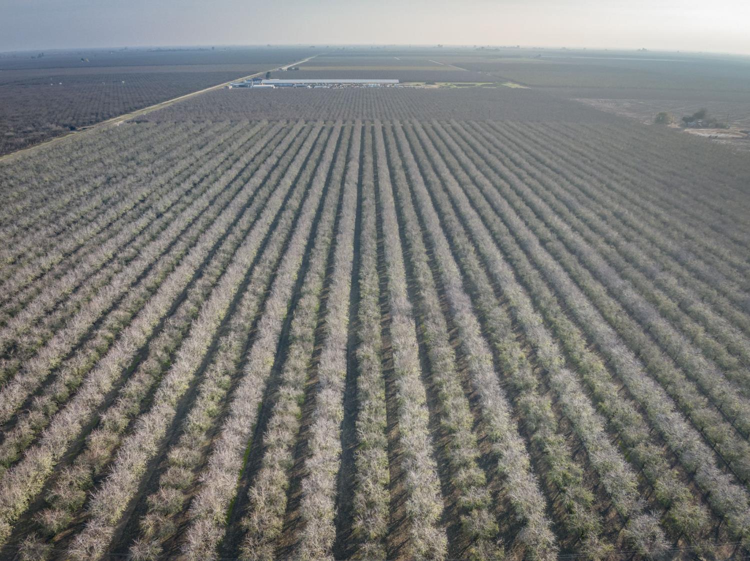 20880 Road 18, Chowchilla, CA 93610