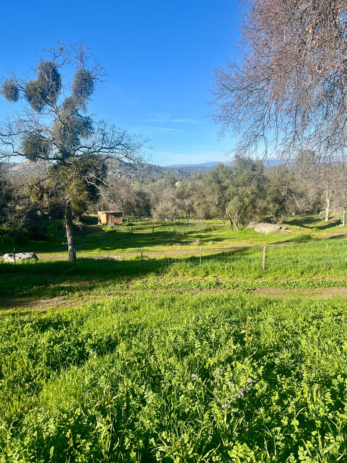 32434 Lockwood Ln, Prather, CA 93651