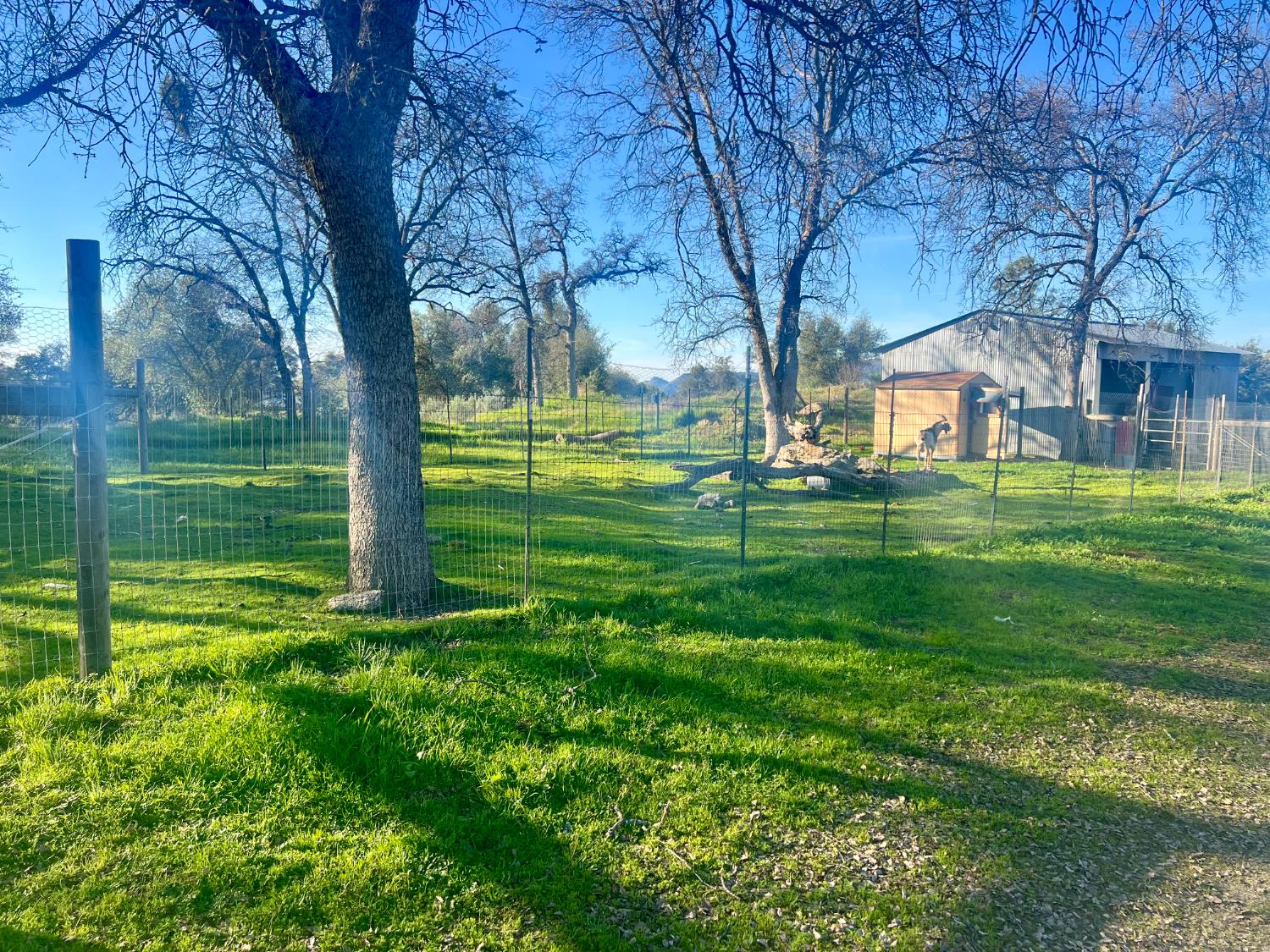 32434 Lockwood Ln, Prather, CA 93651