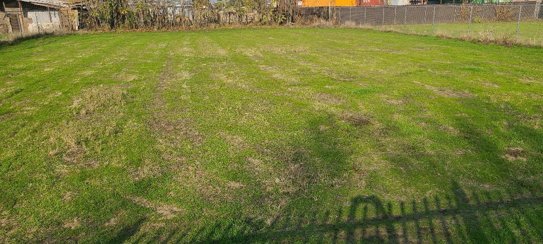 1871 E VINE St, Fresno, CA 93706