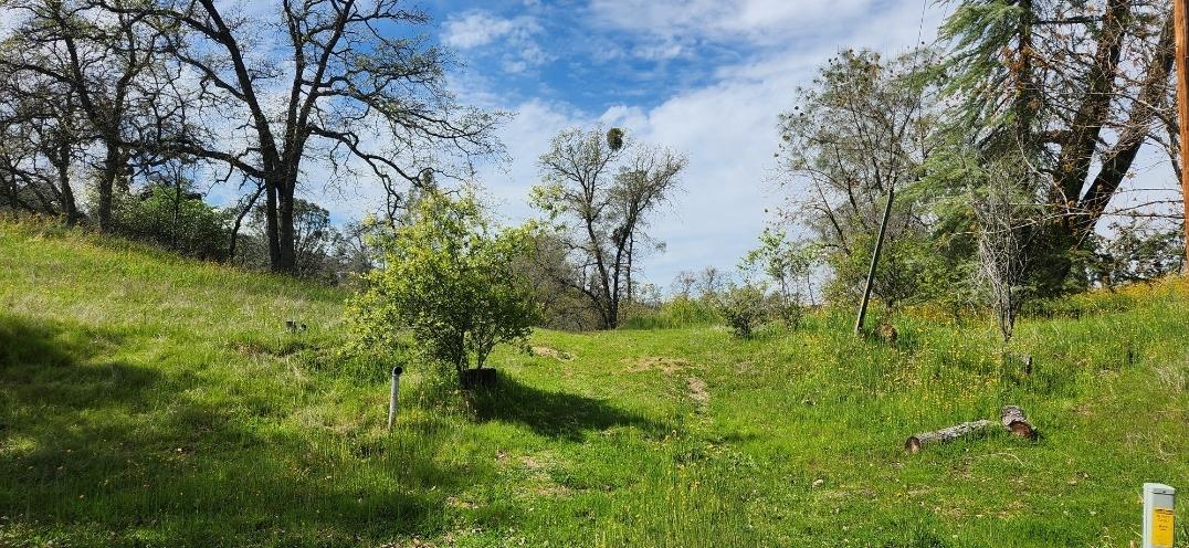 41853 1/2 Starlight Ct, Coarsegold, CA 93614