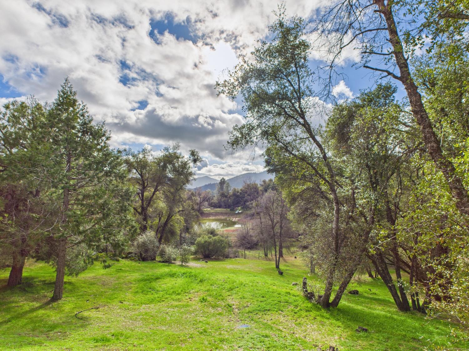 43710 Hilltop Ln, Ahwahnee, CA 93601