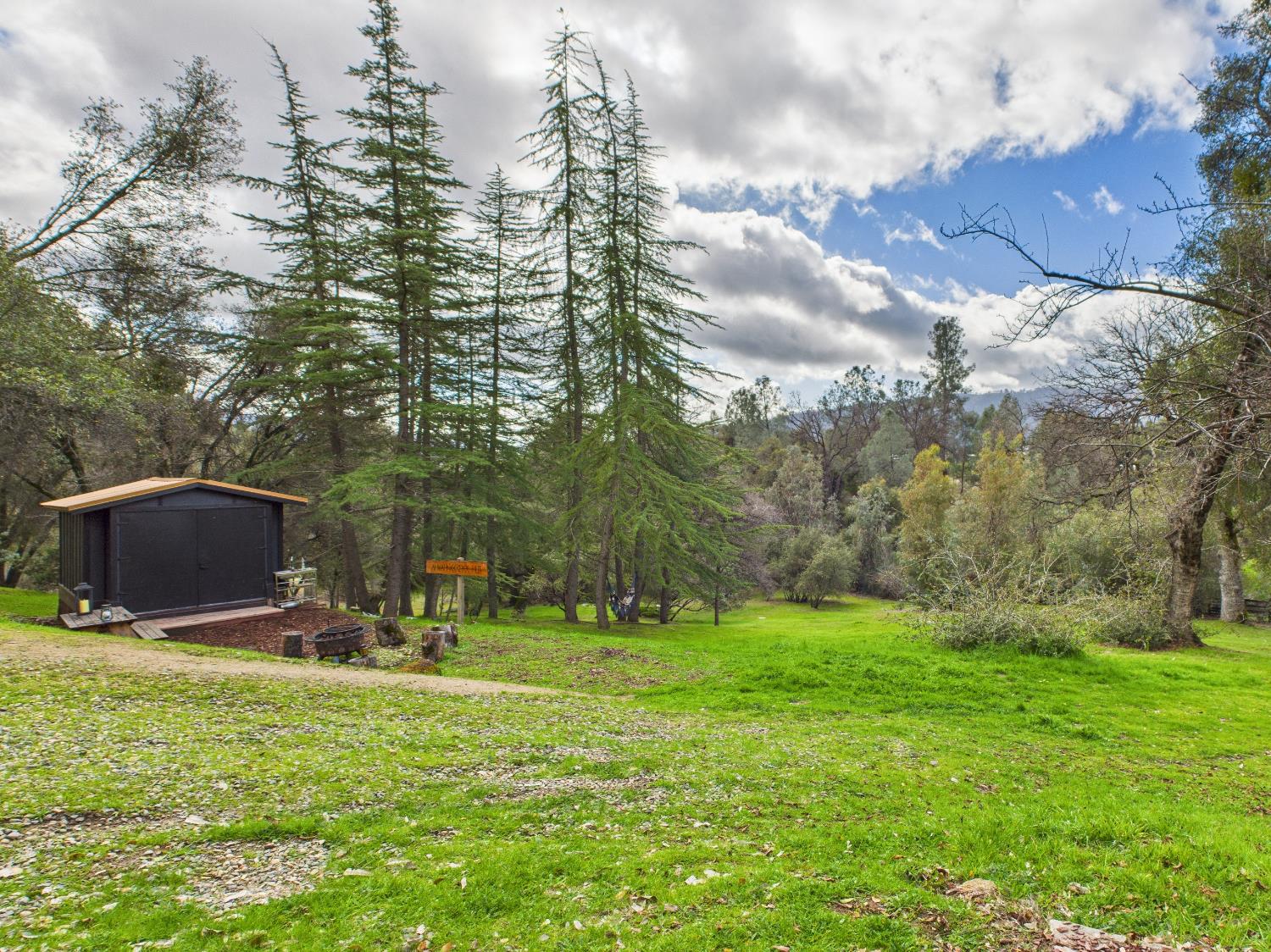 43710 Hilltop Ln, Ahwahnee, CA 93601