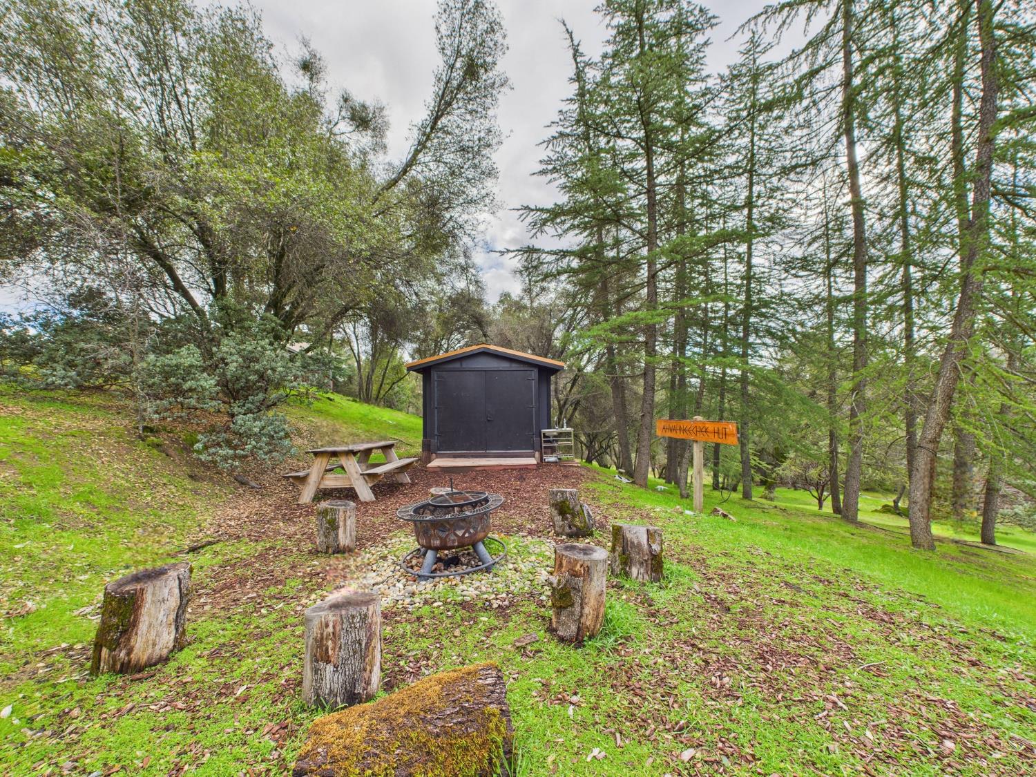 43710 Hilltop Ln, Ahwahnee, CA 93601