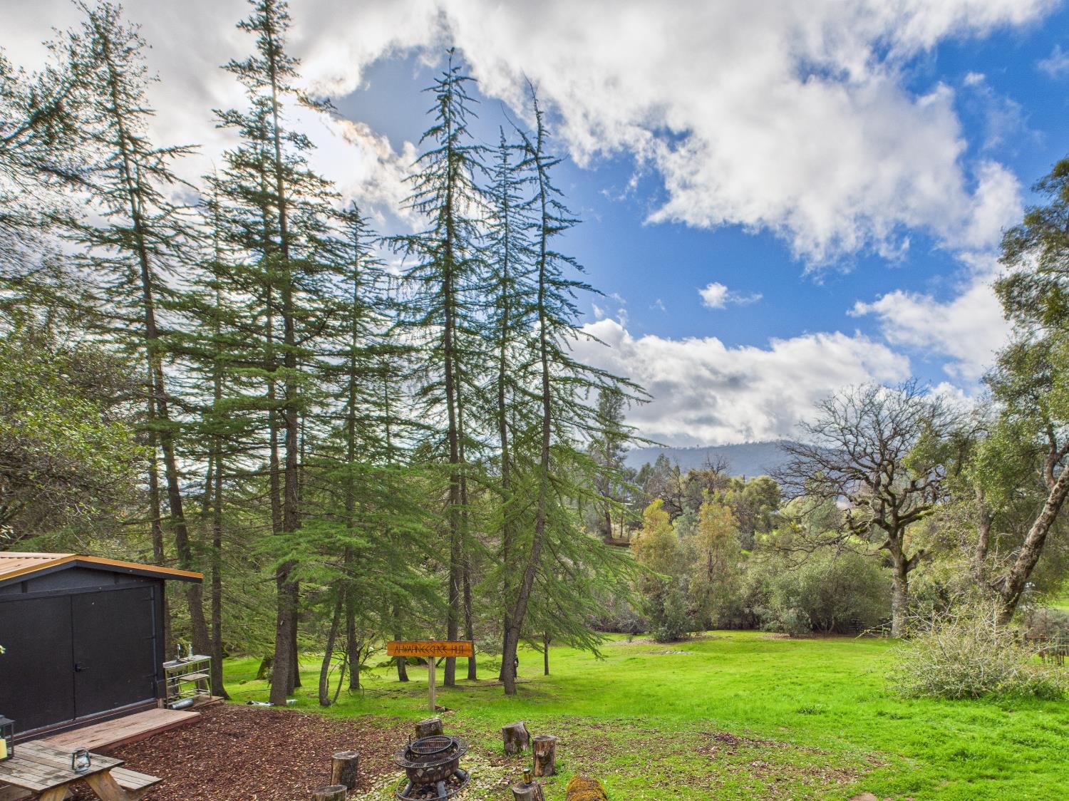 43710 Hilltop Ln, Ahwahnee, CA 93601