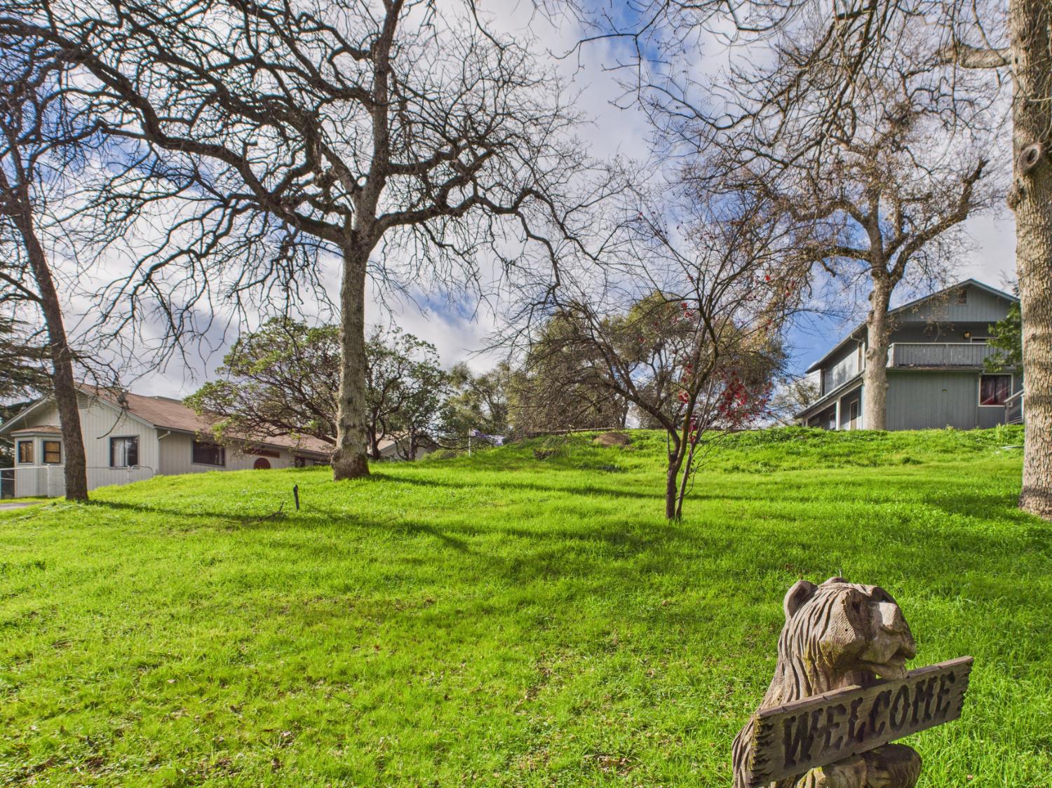 43710 Hilltop Ln, Ahwahnee, CA 93601