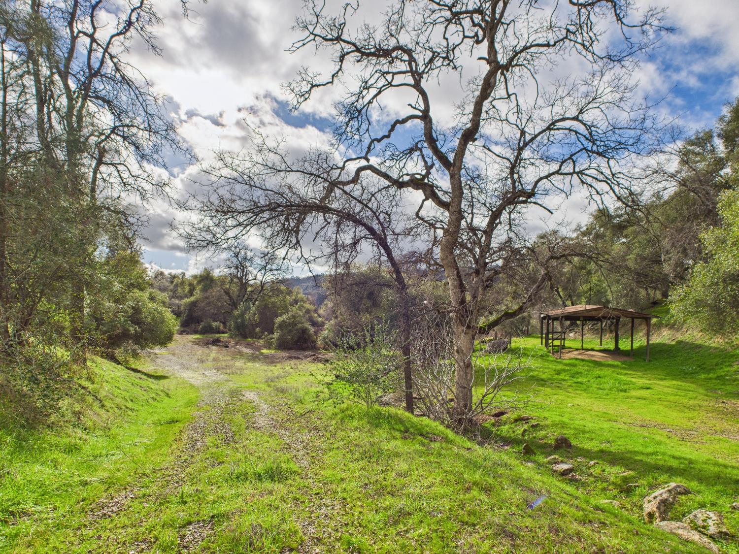 43710 Hilltop Ln, Ahwahnee, CA 93601