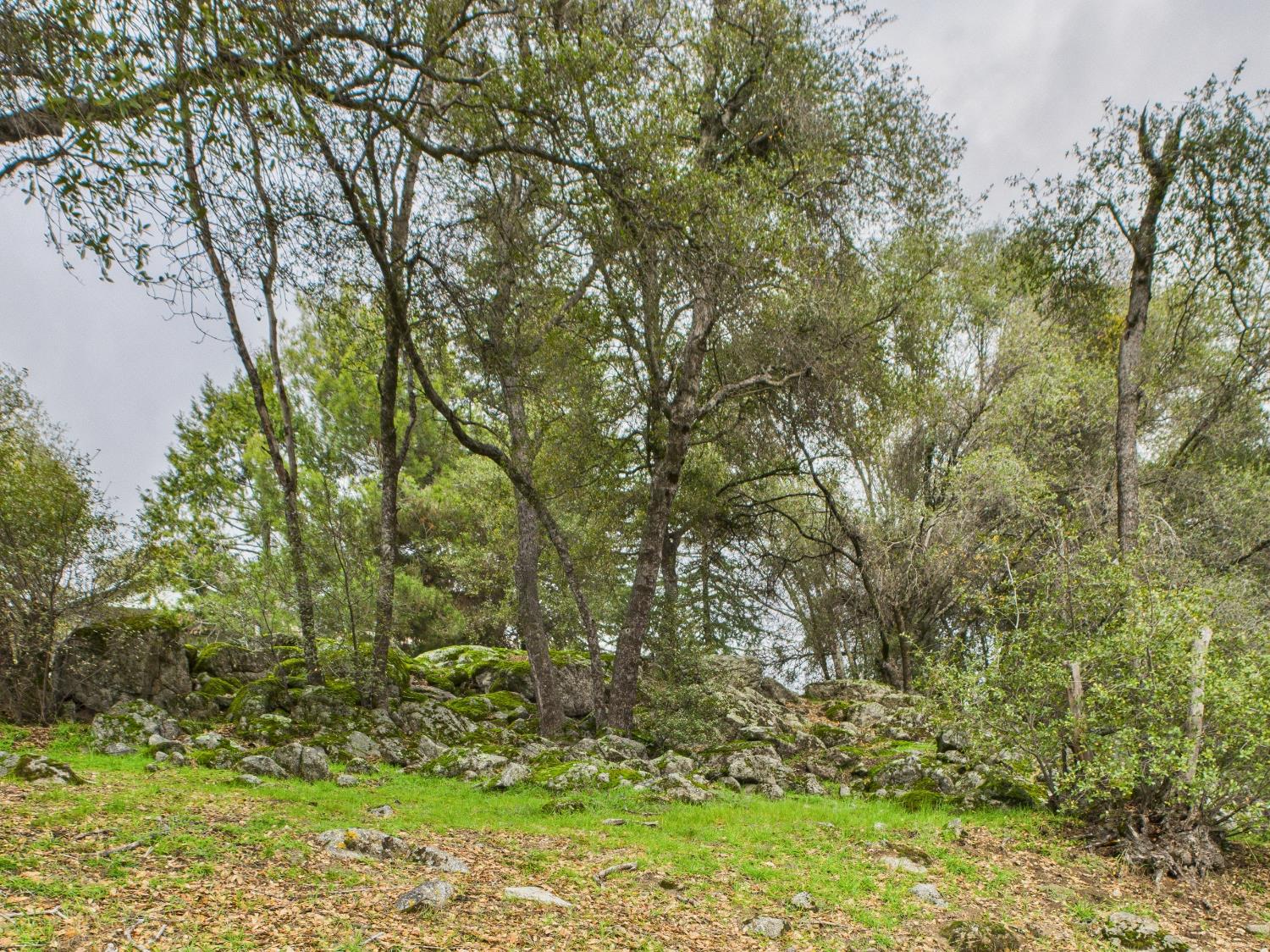 43710 Hilltop Ln, Ahwahnee, CA 93601