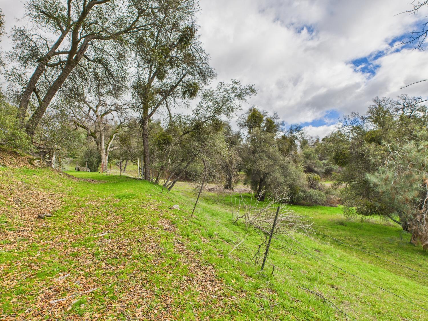 43710 Hilltop Ln, Ahwahnee, CA 93601