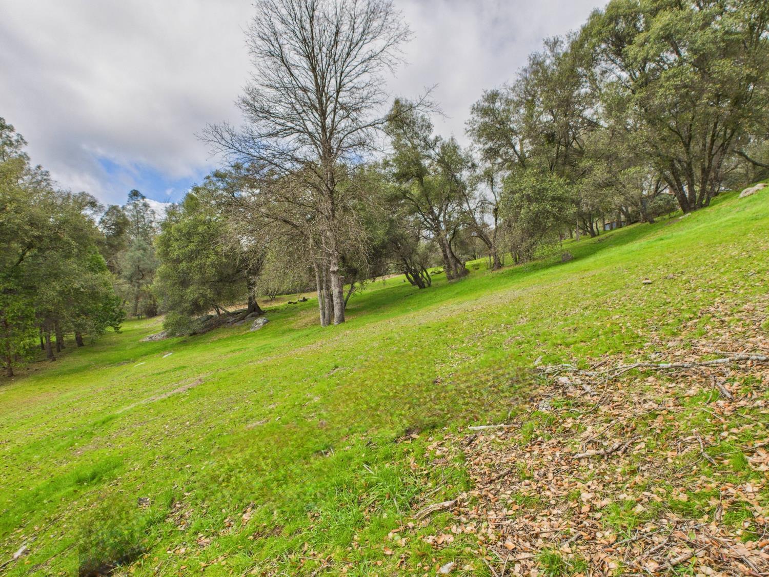 43710 Hilltop Ln, Ahwahnee, CA 93601