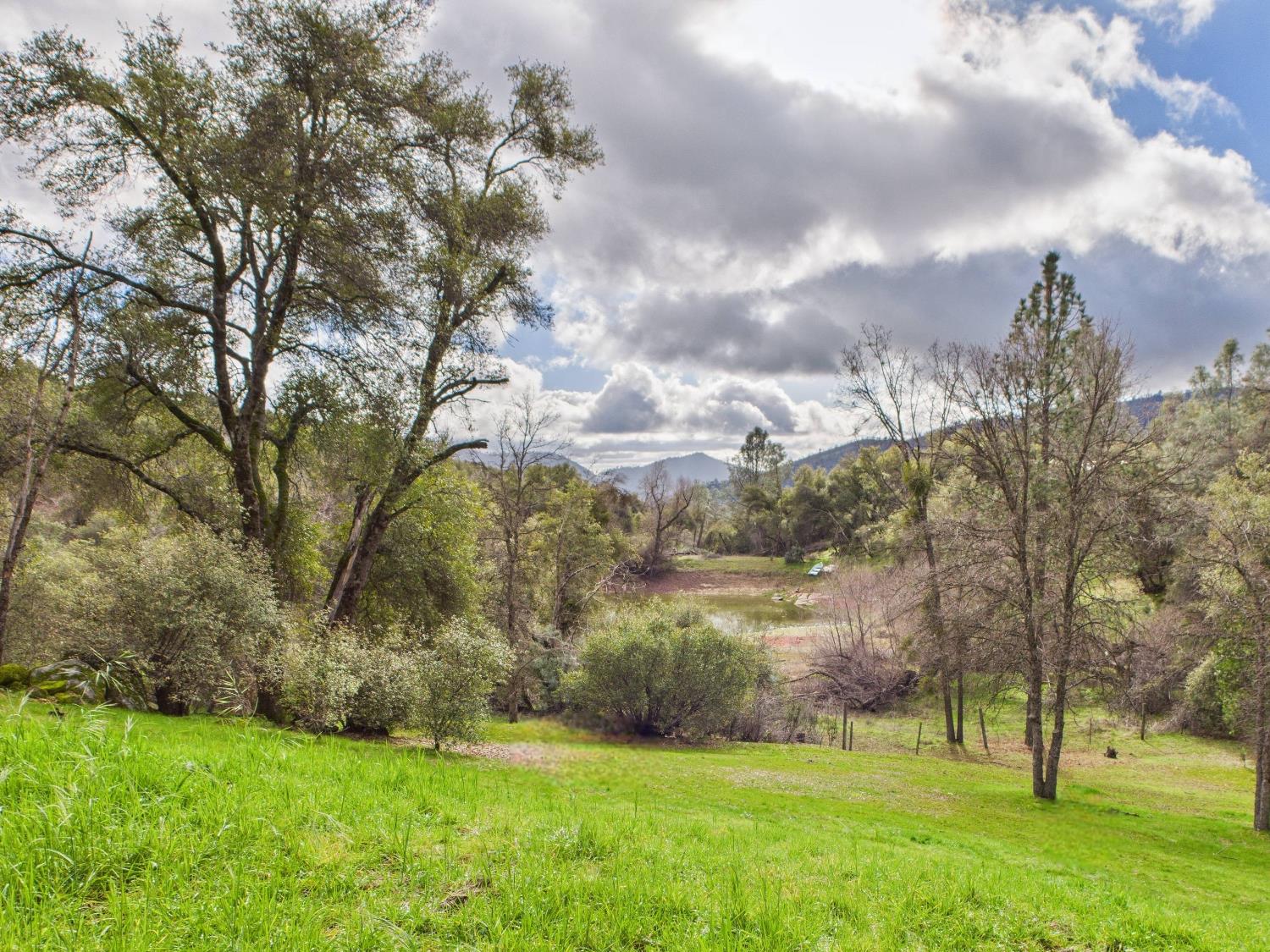 43710 Hilltop Ln, Ahwahnee, CA 93601