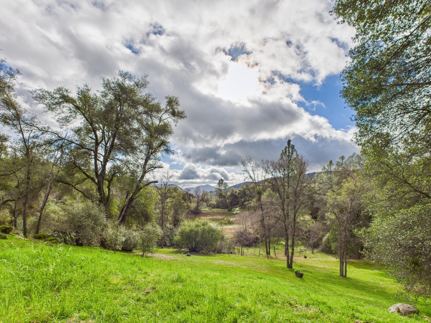 43710 Hilltop Ln, Ahwahnee, CA 93601