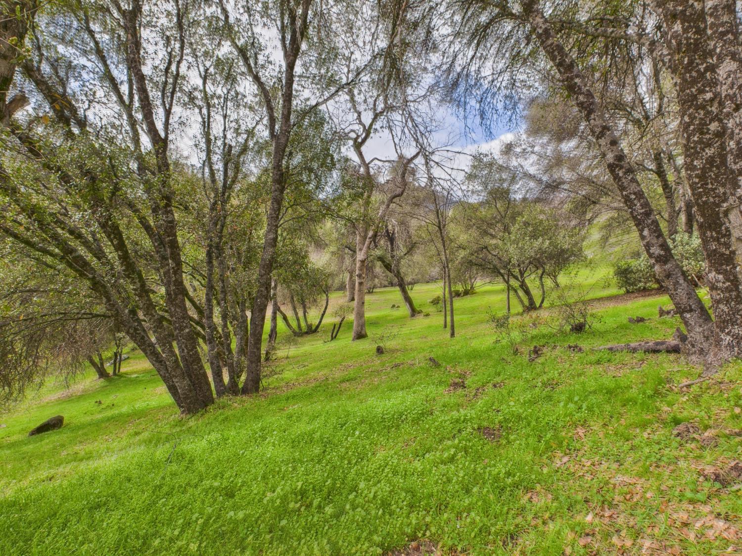 43710 Hilltop Ln, Ahwahnee, CA 93601