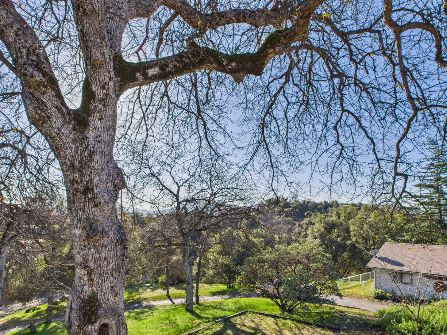 43710 Hilltop Ln, Ahwahnee, CA 93601