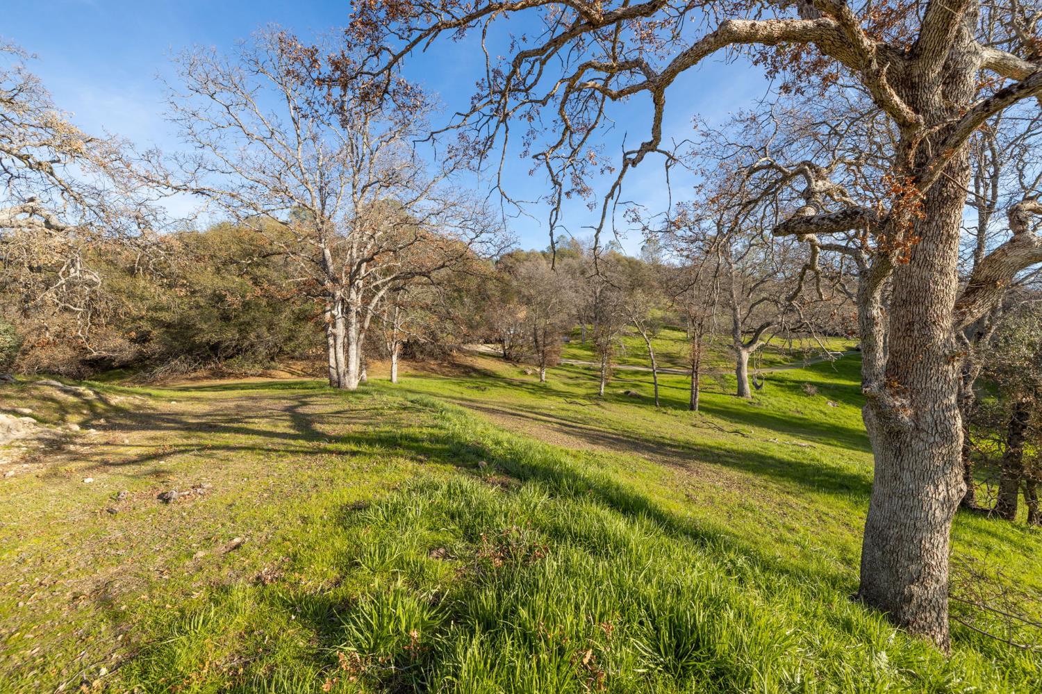 33940 Jennifer Way, Coarsegold, CA 93614