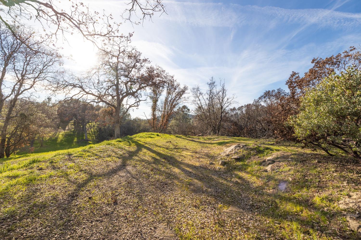 33940 Jennifer Way, Coarsegold, CA 93614