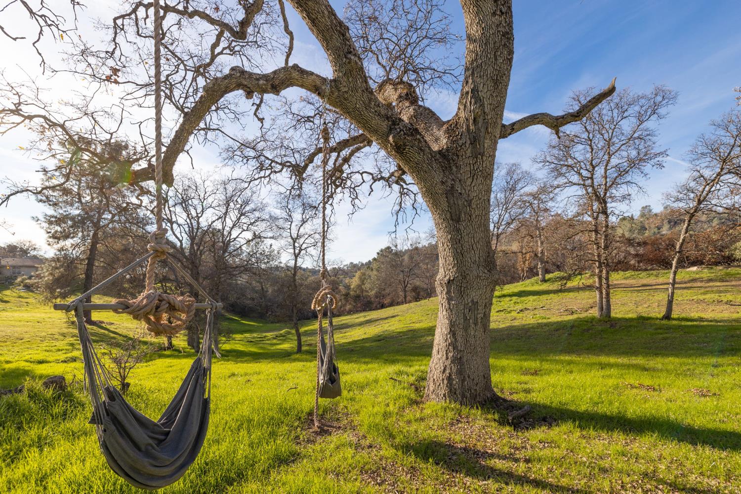 33940 Jennifer Way, Coarsegold, CA 93614