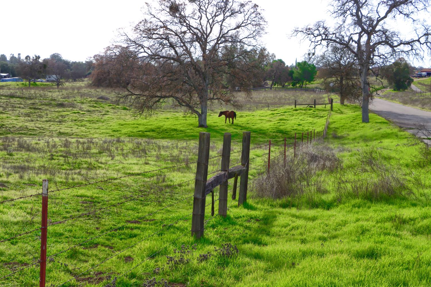 0 0 Vista Oak Dr, Raymond, CA 93653