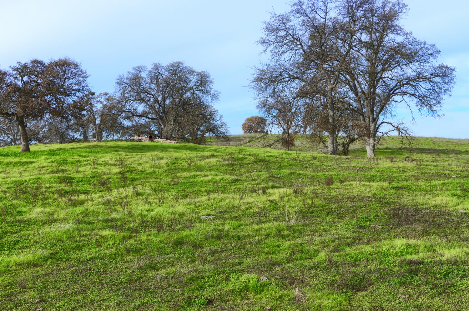 0 0 Vista Oak Dr, Raymond, CA 93653