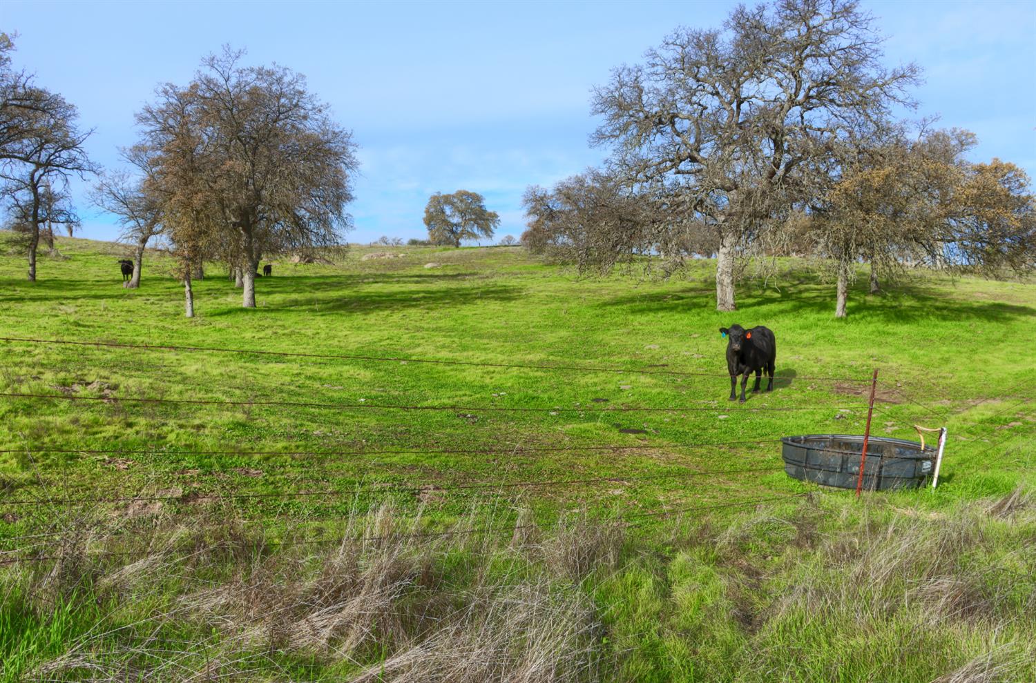 0 0 Vista Oak Dr, Raymond, CA 93653