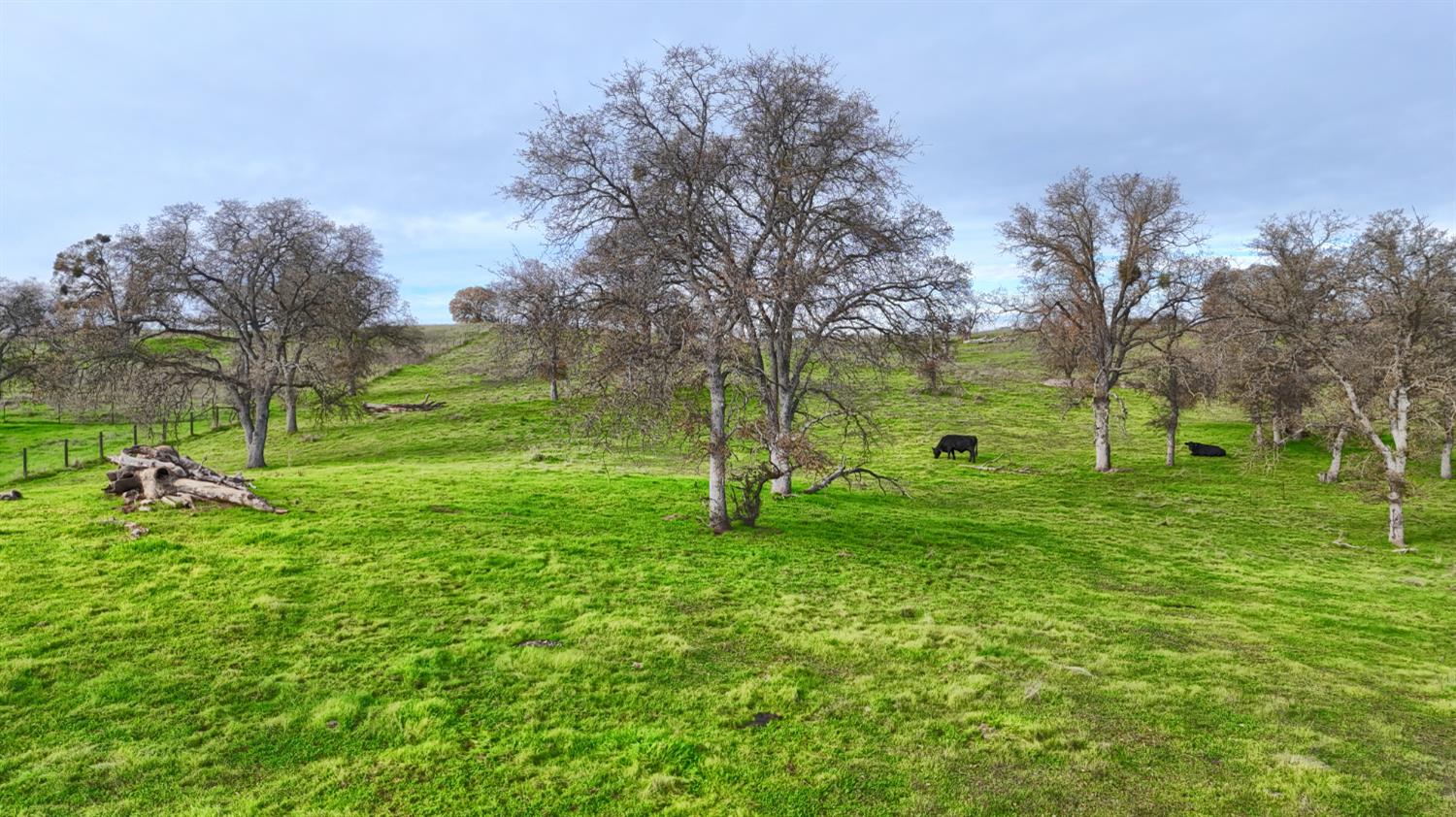 0 0 Vista Oak Dr, Raymond, CA 93653