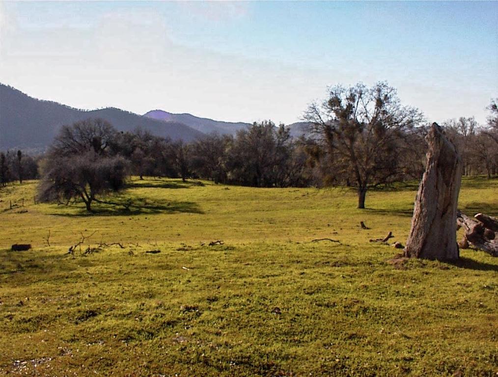 39950 Millwood Rd, Dunlap, CA 93621