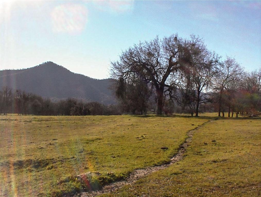 39950 Millwood Rd, Dunlap, CA 93621