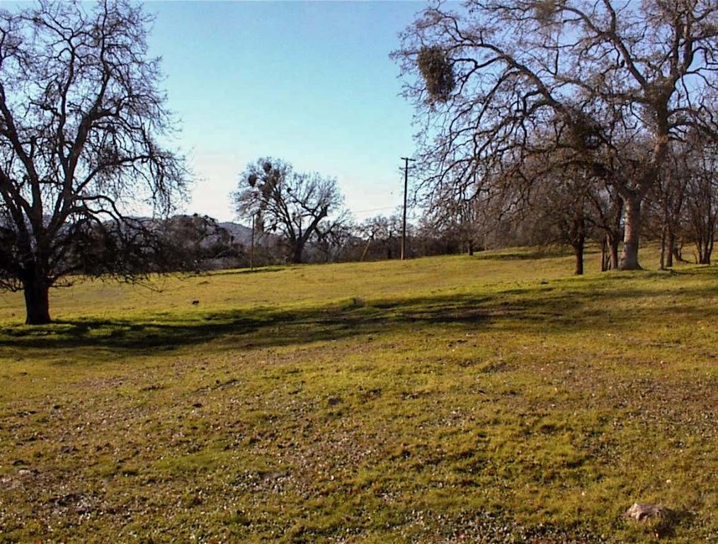 39950 Millwood Rd, Dunlap, CA 93621