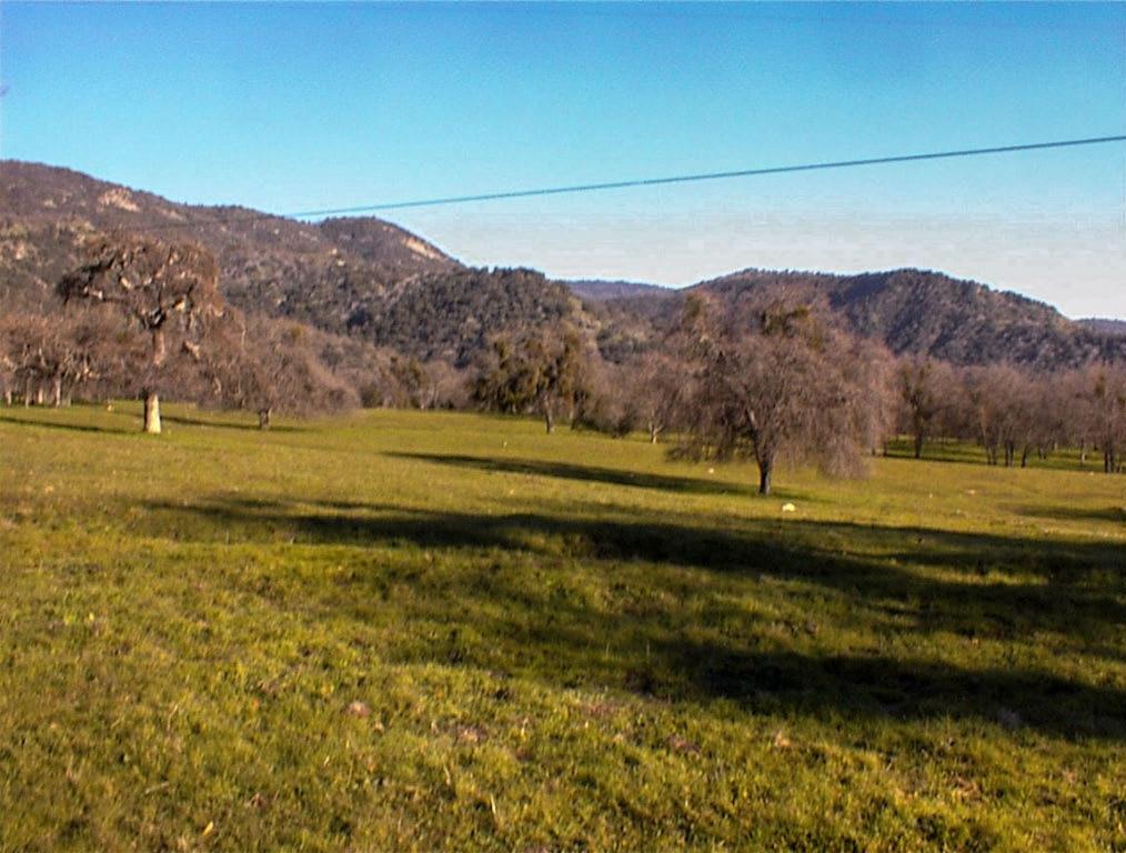 39950 Millwood Rd, Dunlap, CA 93621