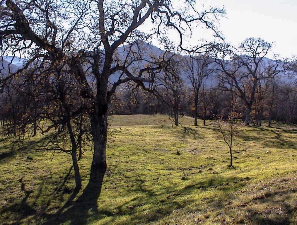 39950 Millwood Rd, Dunlap, CA 93621