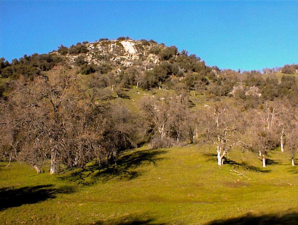 39950 Millwood Rd, Dunlap, CA 93621