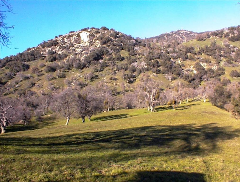 39950 Millwood Rd, Dunlap, CA 93621