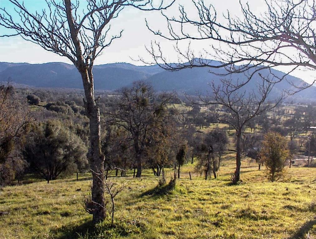 39950 Millwood Rd, Dunlap, CA 93621