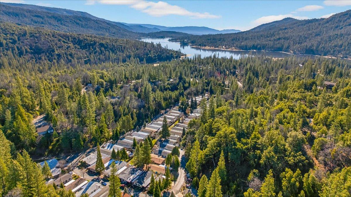 39737 Road 274 #28, Bass Lake, CA 93604