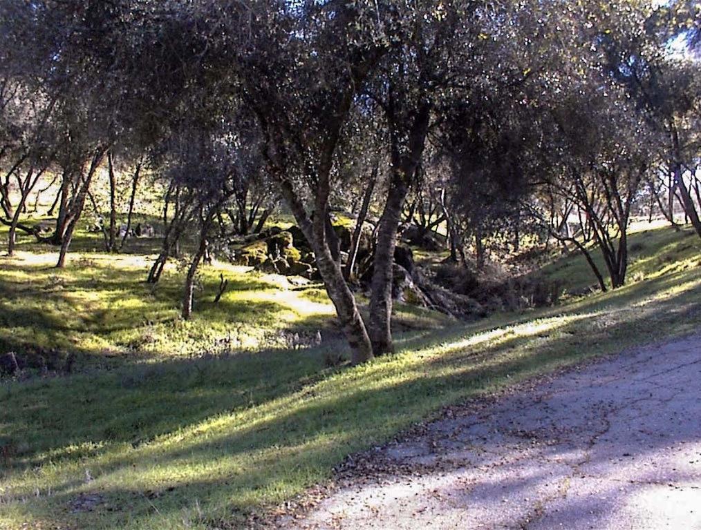 45483 Sand Creek Rd, Yokuts Valley, CA 93675