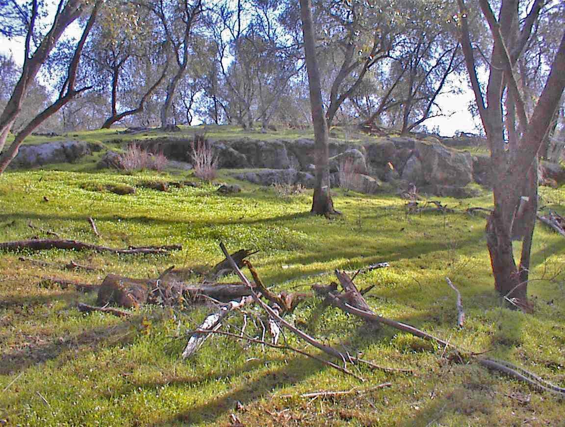 45483 Sand Creek Rd, Yokuts Valley, CA 93675