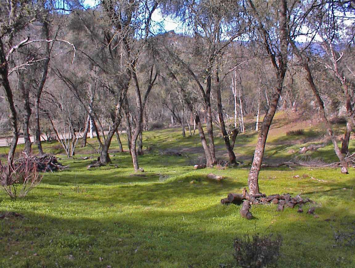 45483 Sand Creek Rd, Yokuts Valley, CA 93675