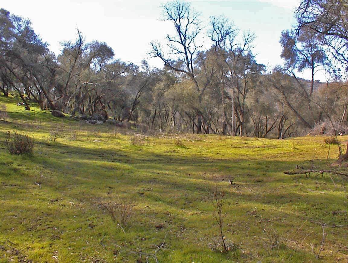 45483 Sand Creek Rd, Yokuts Valley, CA 93675