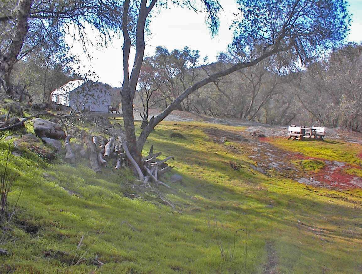 45483 Sand Creek Rd, Yokuts Valley, CA 93675