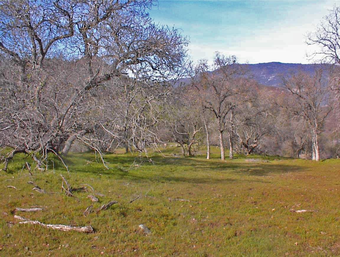 45483 Sand Creek Rd, Yokuts Valley, CA 93675