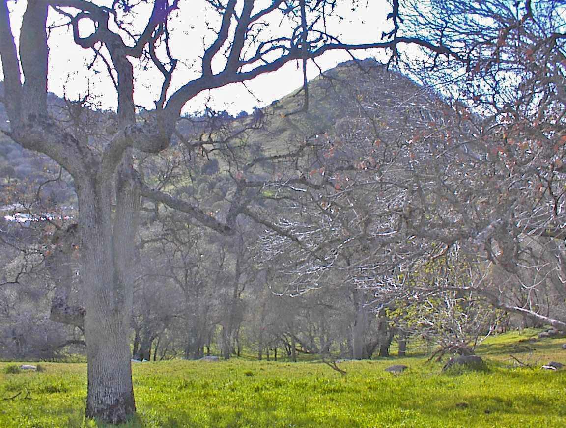 45483 Sand Creek Rd, Yokuts Valley, CA 93675