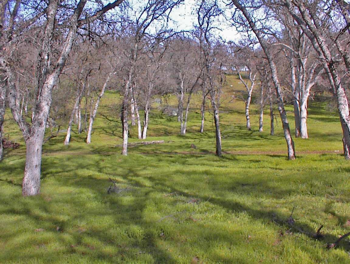 45483 Sand Creek Rd, Yokuts Valley, CA 93675