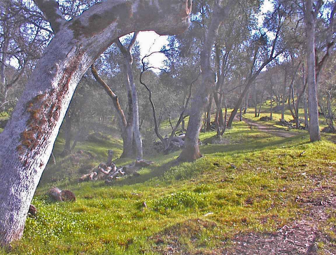 45483 Sand Creek Rd, Yokuts Valley, CA 93675