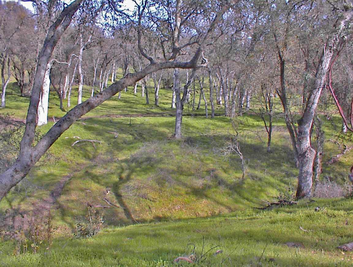 45483 Sand Creek Rd, Yokuts Valley, CA 93675