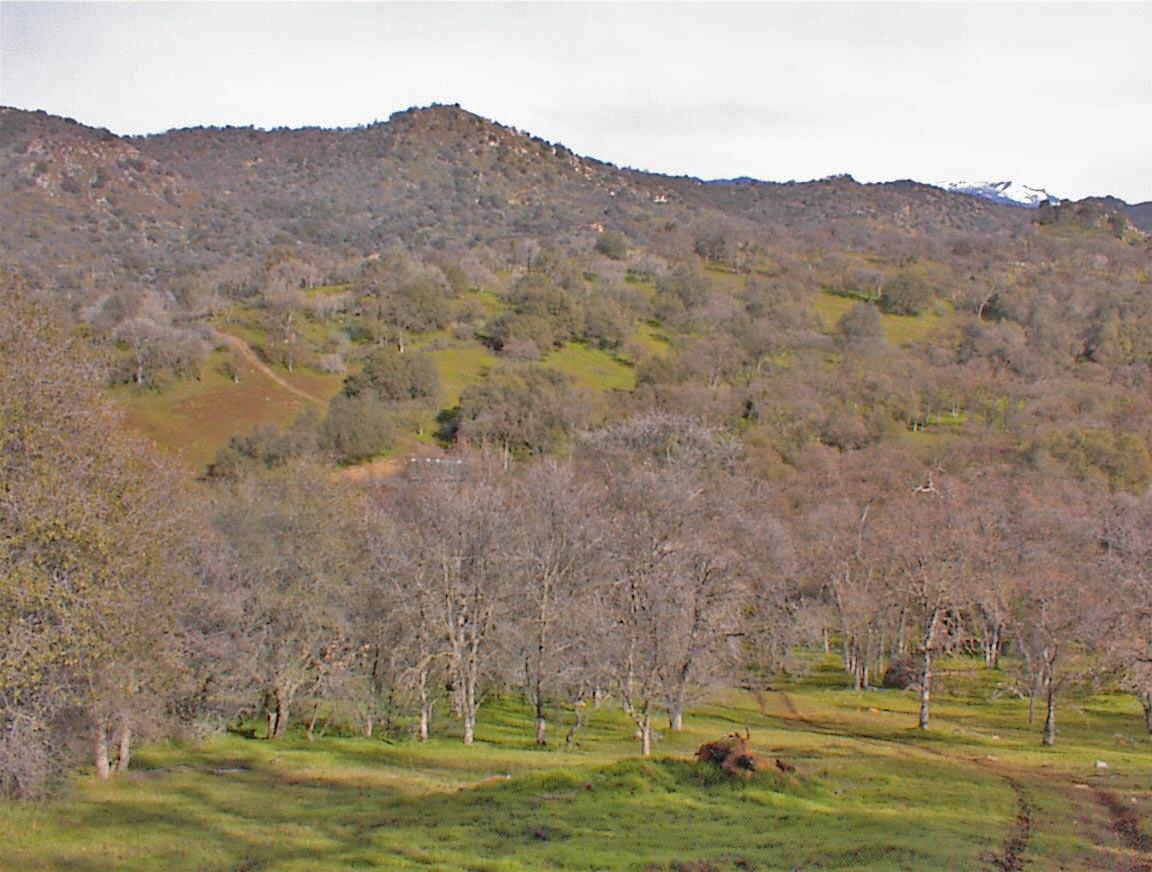 45483 Sand Creek Rd, Yokuts Valley, CA 93675