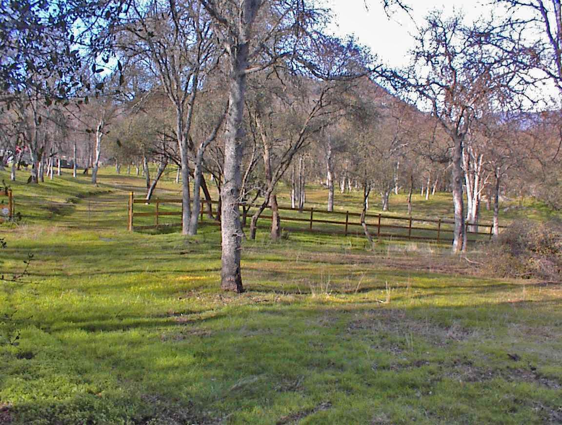 45483 Sand Creek Rd, Yokuts Valley, CA 93675