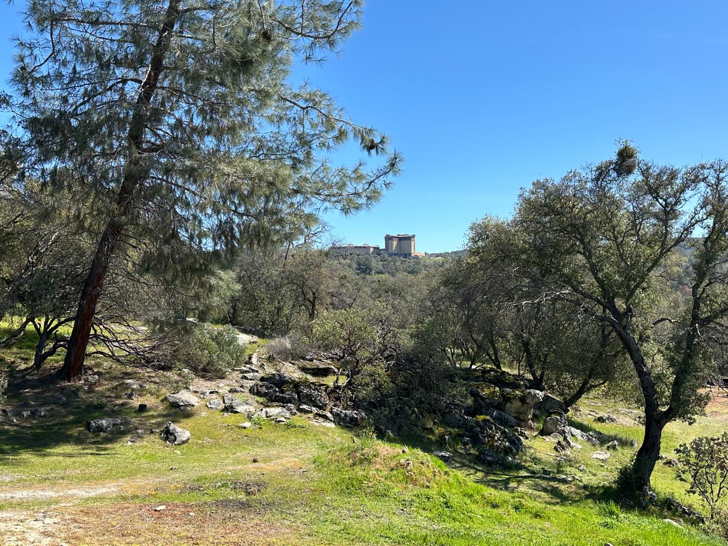 32003 Shah Ct, Coarsegold, CA 93614