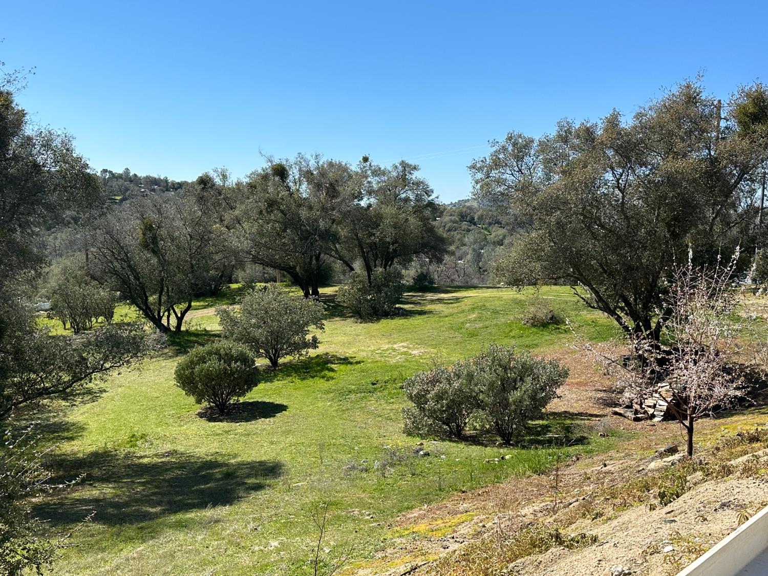 32003 Shah Ct, Coarsegold, CA 93614