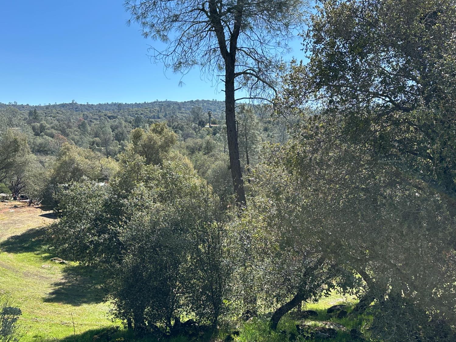 32003 Shah Ct, Coarsegold, CA 93614