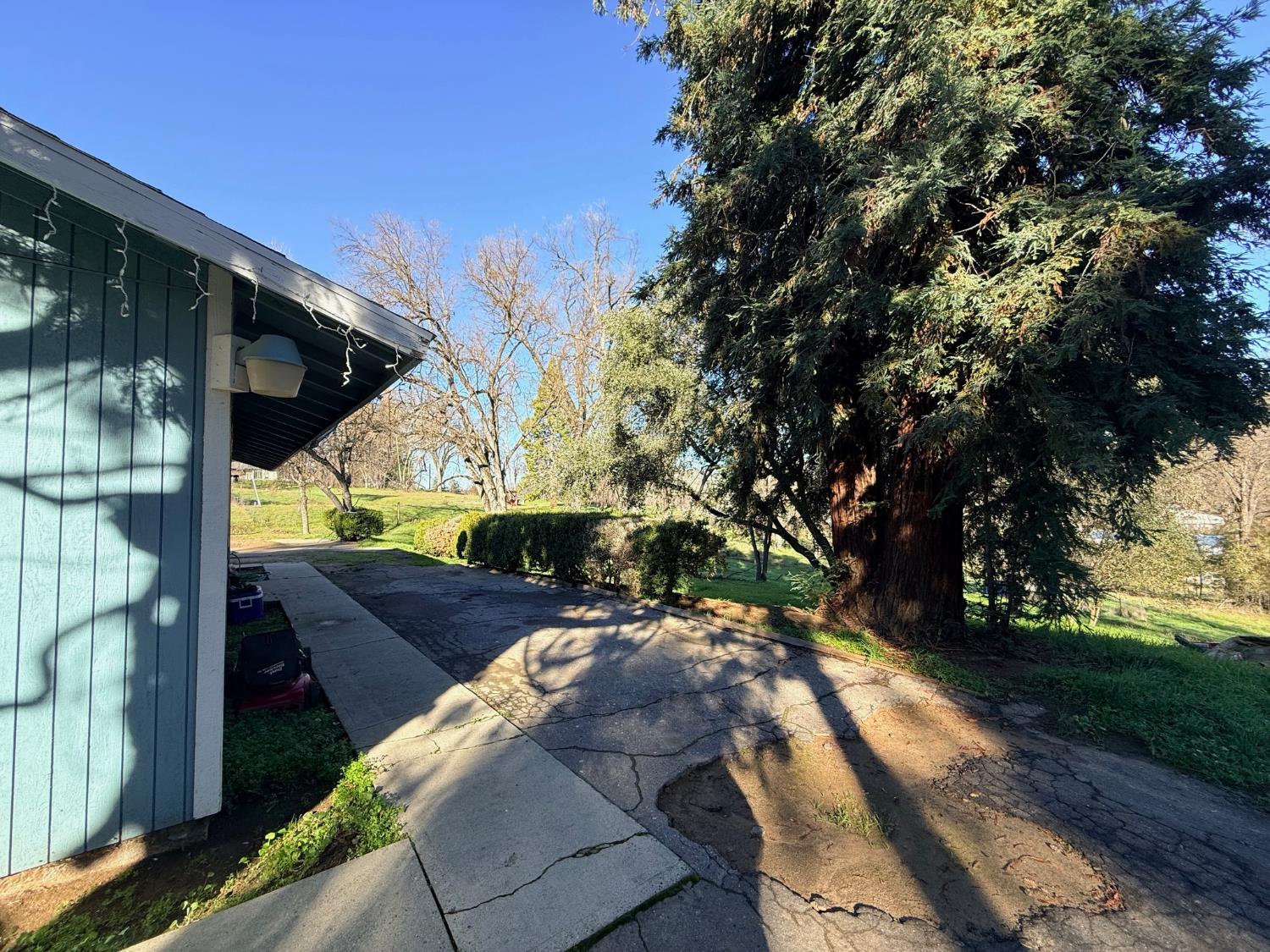 50155 Hangtree, Oakhurst, CA 93644